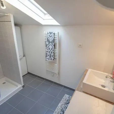 Quiet & Duplex Wifi Near Rhone & Parc Blandan Apartmán *
